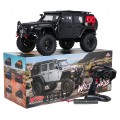 Car R/C WILDERNESS RTR 1:10 Black
