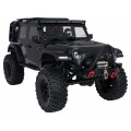 Car R/C WILDERNESS RTR 1:10 Black
