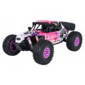 RC Crawler ALIKATA 1:12 Purple