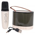 Karaoke Microphone + Illuminated Speaker Set