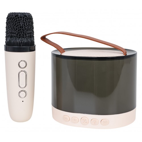Karaoke Microphone + Illuminated Speaker Set