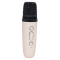 Karaoke Microphone and Speaker Set