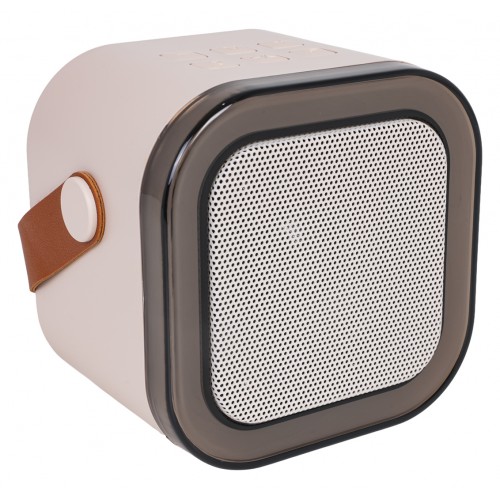 Karaoke Microphone and Speaker Set