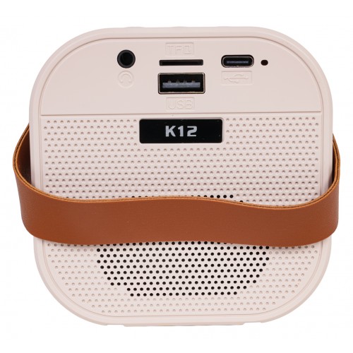 Karaoke Microphone and Speaker Set