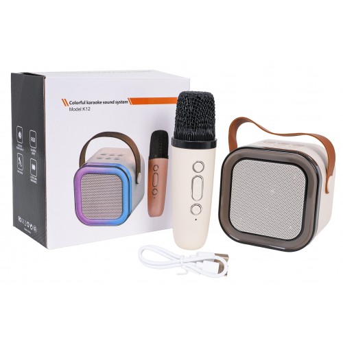 Karaoke Microphone and Speaker Set