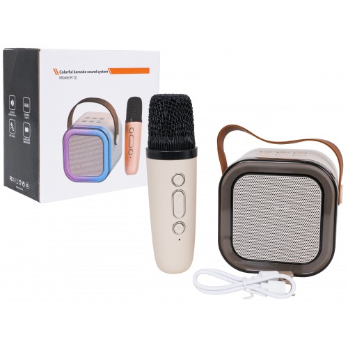 Karaoke Microphone and Speaker Set