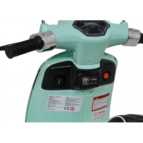 Vespa ROMA Scooter Vehicle Green