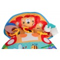 Lion Pillow for the Youngest