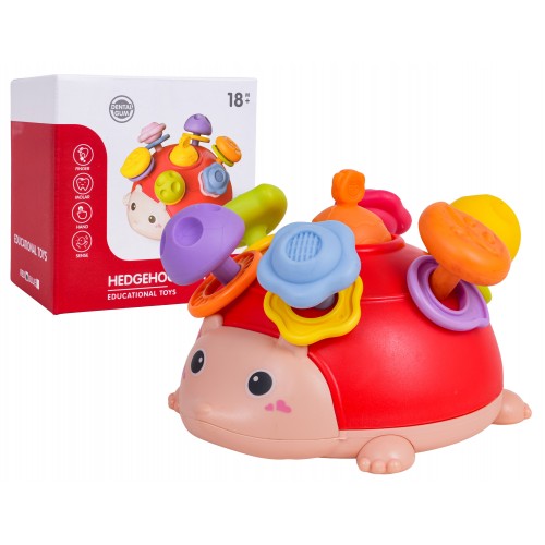 Multifunctional Toy for the Youngest Hedgehog
