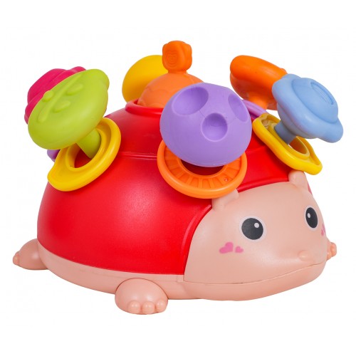 Multifunctional Toy for the Youngest Hedgehog