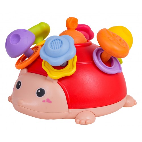 Multifunctional Toy for the Youngest Hedgehog