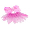 Little Princess Butterfly + Wings Set