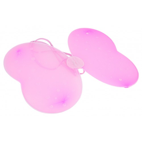 Little Princess Butterfly + Wings Set