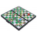 Magnetic Ladder Board Game