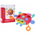 Multifunctional Ladybug For The Youngest