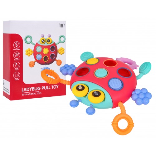 Multifunctional Ladybug For The Youngest