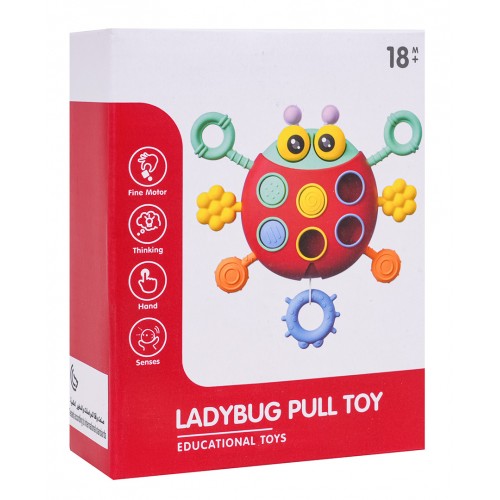 Multifunctional Ladybug For The Youngest
