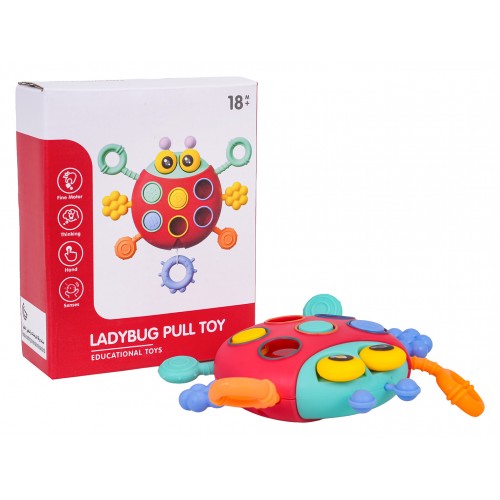 Multifunctional Ladybug For The Youngest