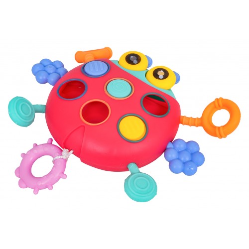 Multifunctional Ladybug For The Youngest