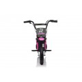 Vehicle Motor RZ56 MAX Pink