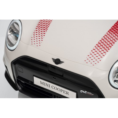 Mini Cooper White Vehicle