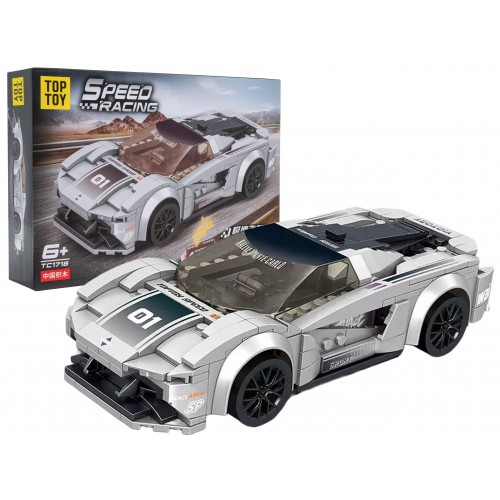 Gray R/C Sports Car Set