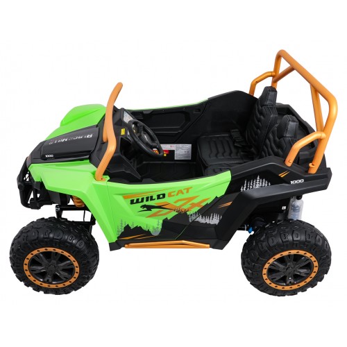 Buggy Arctic Cat WILDCAT XX Green