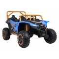 Buggy Arctic Cat WILDCAT XX Blue