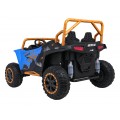 Buggy Arctic Cat WILDCAT XX Blue