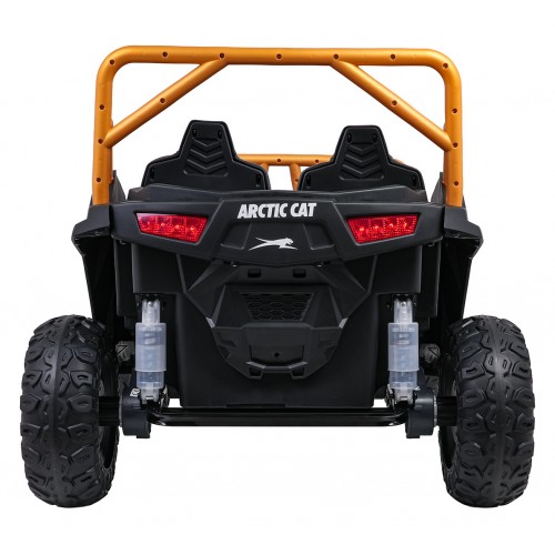 Buggy Arctic Cat WILDCAT XX Blue