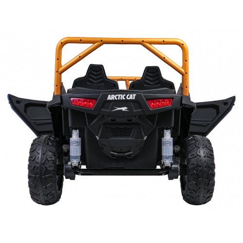 Buggy Arctic Cat WILDCAT XX Blue