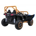 Buggy Arctic Cat WILDCAT XX Blue