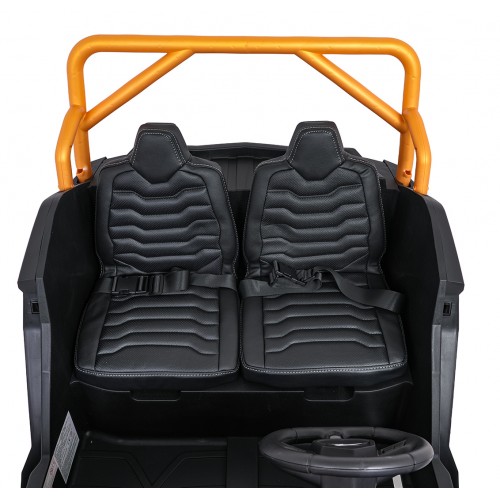 Buggy Arctic Cat WILDCAT XX Blue