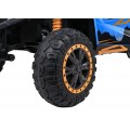 Buggy Arctic Cat WILDCAT XX Blue