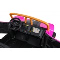 Buggy Arctic Cat WILDCAT XX Pink