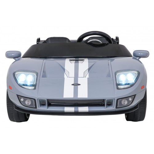 Vehicle Ford GT Gray