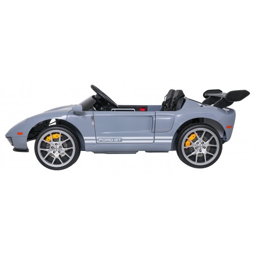 Vehicle Ford GT Gray