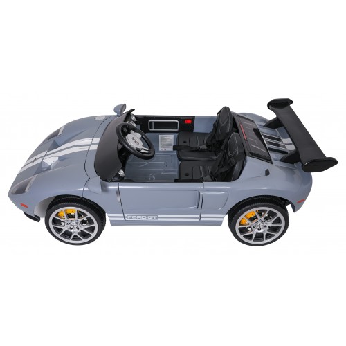 Vehicle Ford GT Gray