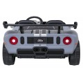 Vehicle Ford GT Gray