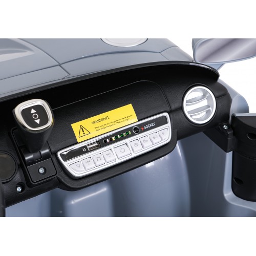 Vehicle Ford GT Gray