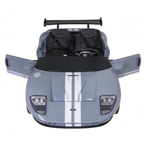 Vehicle Ford GT Gray
