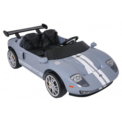 Vehicle Ford GT Gray