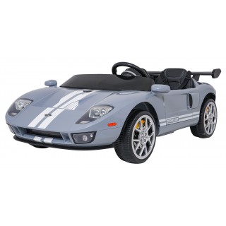 Vehicle Ford GT Gray