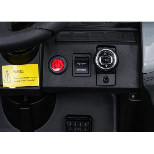 Kawasaki TERYX KRX1000 Buggy Blue