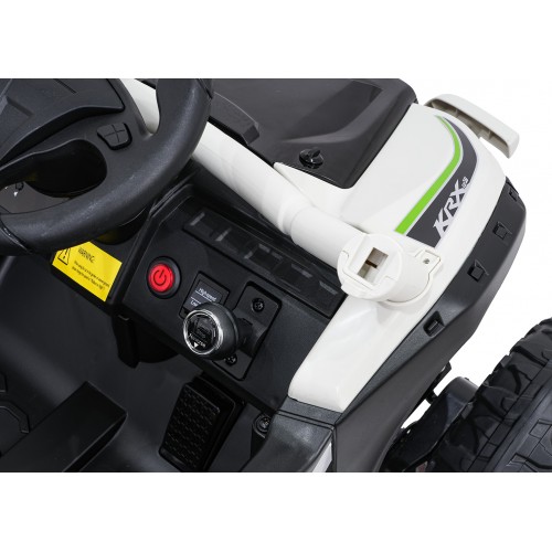 Kawasaki TERYX KRX1000 Gray Buggy