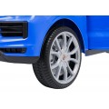 Vehicle Porsche Cayenne Blue