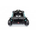 Vehicle AMG PETRONAS F1 Black Racing Car