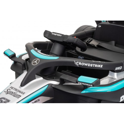 Vehicle AMG PETRONAS F1 Black Racing Car
