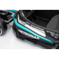 Vehicle AMG PETRONAS F1 Black Racing Car