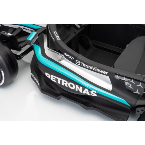 Vehicle AMG PETRONAS F1 Black Racing Car